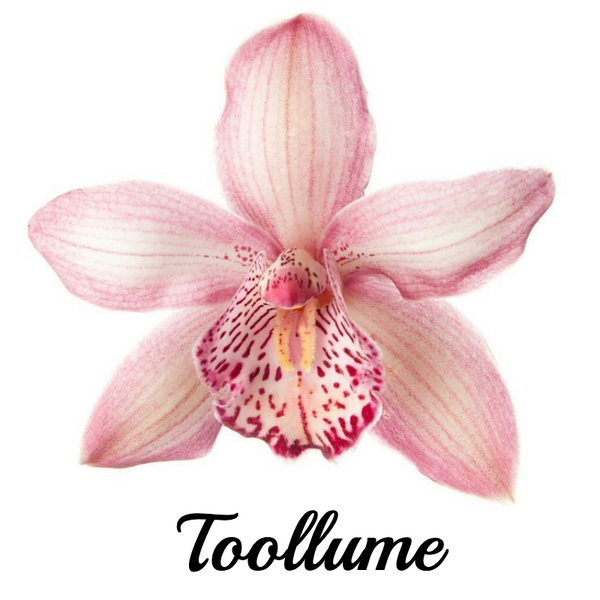 ToolLume